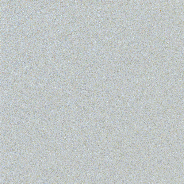 スキップシルバー